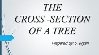 THE
CROSS -SECTION
OF A TREE
Prepared By: S. Bryan
 