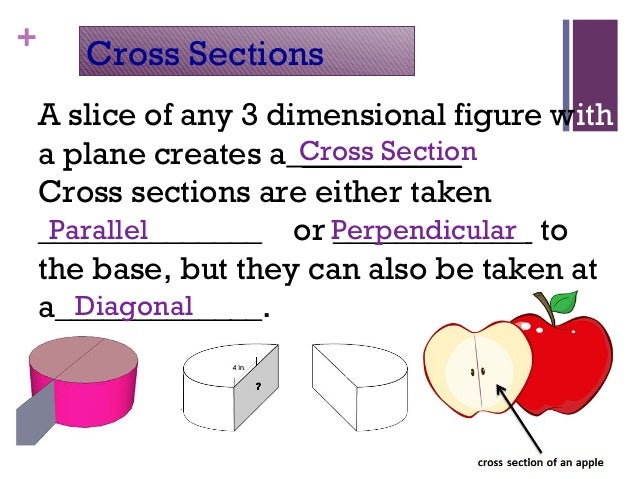 Slicing Shapes (Cross Sections) | Geometry Quiz - Quizizz Slicing Shapes (Cross Sections) | Geometry Quiz - Quizizz