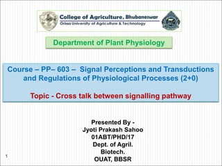 Course – PP– 603 – Signal Perceptions and Transductions
and Regulations of Physiological Processes (2+0)
Topic - Cross talk between signalling pathway
Department of Plant Physiology
Presented By -
Jyoti Prakash Sahoo
01ABT/PHD/17
Dept. of Agril.
Biotech.
OUAT, BBSR
1
 