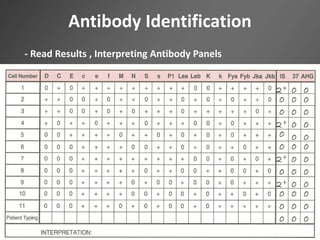 Antibody Identification
- Read Results , Interpreting Antibody Panels
 