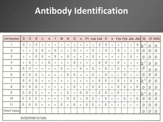 Antibody Identification
 