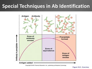 Special Techniques in Ab Identification
 