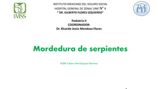 Mordedura de serpientes
R2MF César Uriel Vázquez Ramírez
INSTITUTO MEXICANO DEL SEGURO SOCIAL
HOSPITAL GENERAL DE ZONA/ UMF N° 8
“ DR. GILBERTO FLORES IZQUIERDO”
Pediatría II
COORDINADOR:
Dr. Ricardo Jesús Mendoza Flores
 