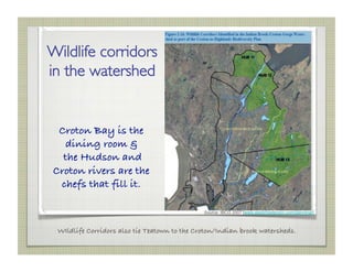 Wildlife corridors
in the watershed


 Croton Bay is the
  dining room &!
  the Hudson and
Croton rivers are the
 chefs th...
