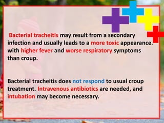 Bacterial tracheitis may result from a secondary
infection and usually leads to a more toxic appearance.
with higher fever and worse respiratory symptoms
than croup.
Bacterial tracheitis does not respond to usual croup
treatment. Intravenous antibiotics are needed, and
intubation may become necessary.
 