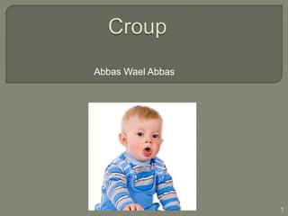 Abbas Wael Abbas
1
 