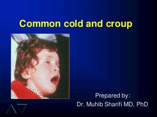 Common cold and croup
Prepared by:
Dr. Muhib Sharifi MD, PhD
 