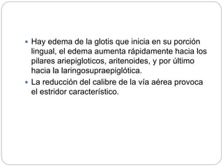  Hay edema de la glotis que inicia en su porción
lingual, el edema aumenta rápidamente hacia los
pilares ariepigloticos, aritenoides, y por último
hacia la laringosupraepiglótica.
 La reducción del calibre de la vía aérea provoca
el estridor característico.
 
