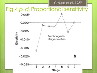 Crouse et al. 1987Fig 4 pidiProportional sensitivityTo stage specificsurvival probabilityTo changes in stage duration