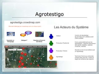 Agrotestigo
 