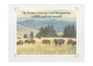 Op Twitter bijdragen aan het grootste
     wildlife park ter wereld
 