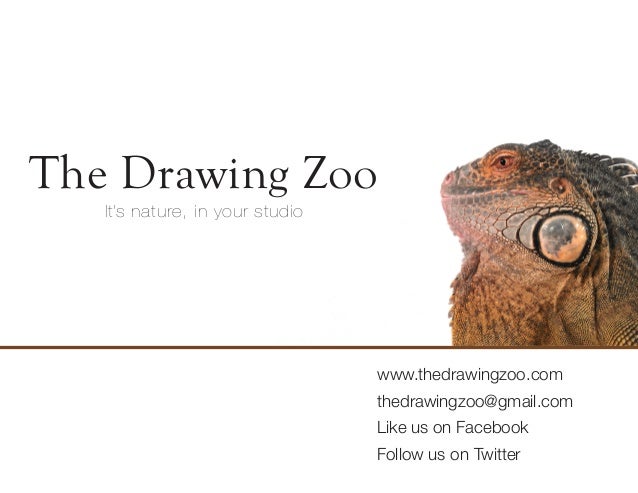 The Drawing Zoo It’s nature, in your bengkel www.thedrawingzoo.com ...