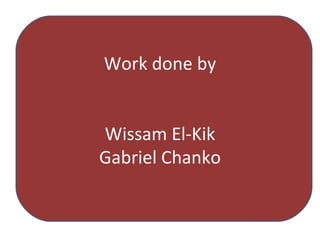 Work done by Wissam El-Kik Gabriel Chanko 