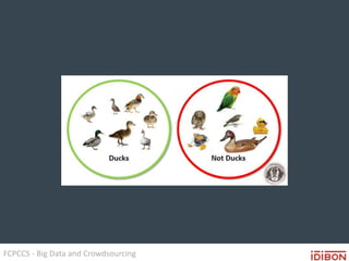 FCPCCS - Big Data and Crowdsourcing
 