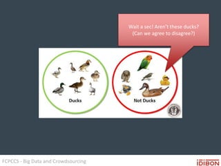 FCPCCS - Big Data and Crowdsourcing
Wait a sec! Aren’t these ducks?
(Can we agree to disagree?)
 