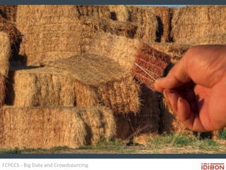 FCPCCS - Big Data and Crowdsourcing
 