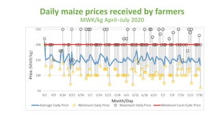 Daily maize prices received by farmers
MWK/kg April–July 2020
 