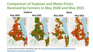Comparison of Soybean and Maize Prices
Received by Farmers in May 2020 and May 2021
Soybean
May 2020 May 2021
Maize
May 2020 May 2021
To access these and other interactive maps, see: https://massp.ifpri.info/2021/06/14/interactive-
heat-maps-on-crowdsourcing-exercise/
 