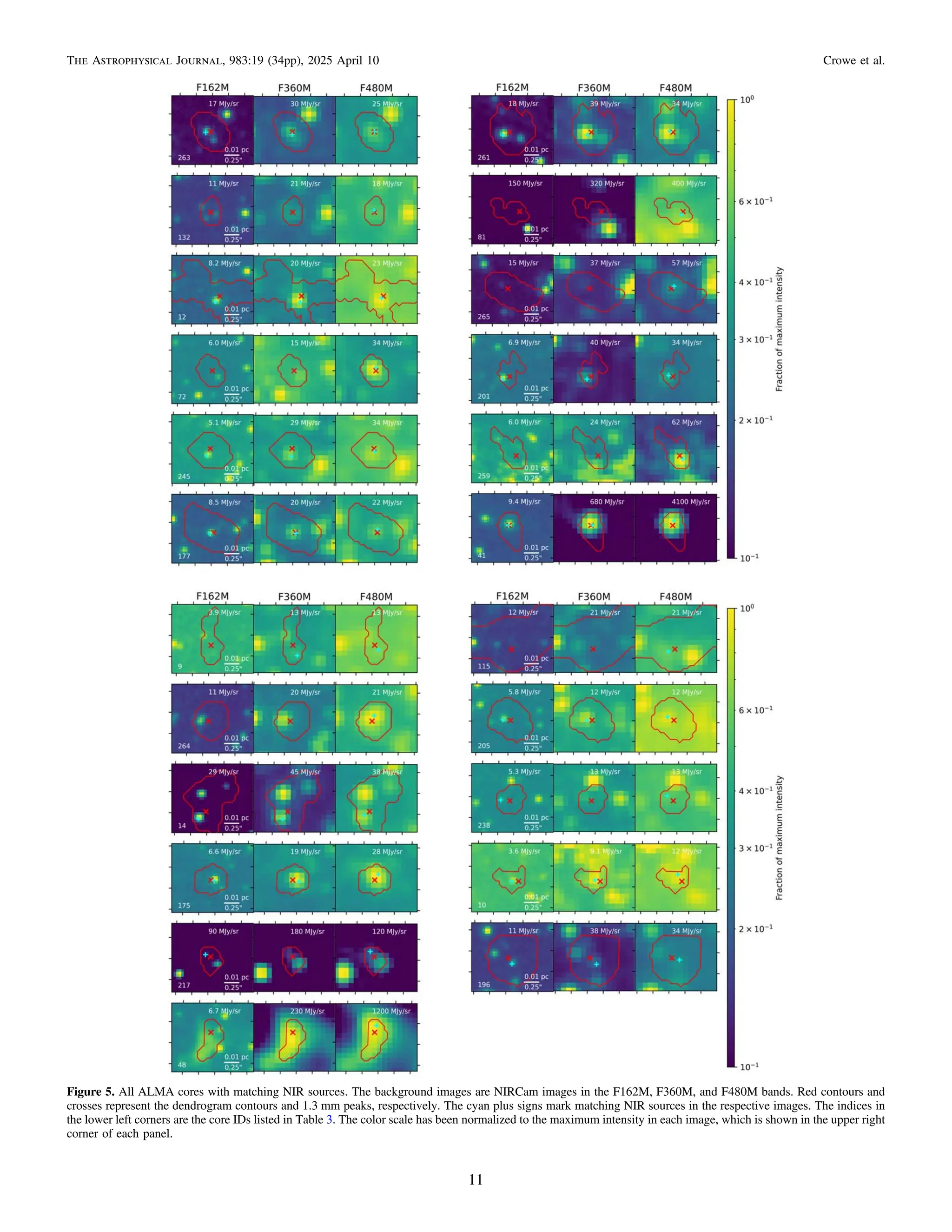 Figure 5. All ALMA cores with matching NIR sources. The background images are NIRCam images in the F162M, F360M, and F480M bands. Red contours and
crosses represent the dendrogram contours and 1.3 mm peaks, respectively. The cyan plus signs mark matching NIR sources in the respective images. The indices in
the lower left corners are the core IDs listed in Table 3. The color scale has been normalized to the maximum intensity in each image, which is shown in the upper right
corner of each panel.
11
The Astrophysical Journal, 983:19 (34pp), 2025 April 10 Crowe et al.
 