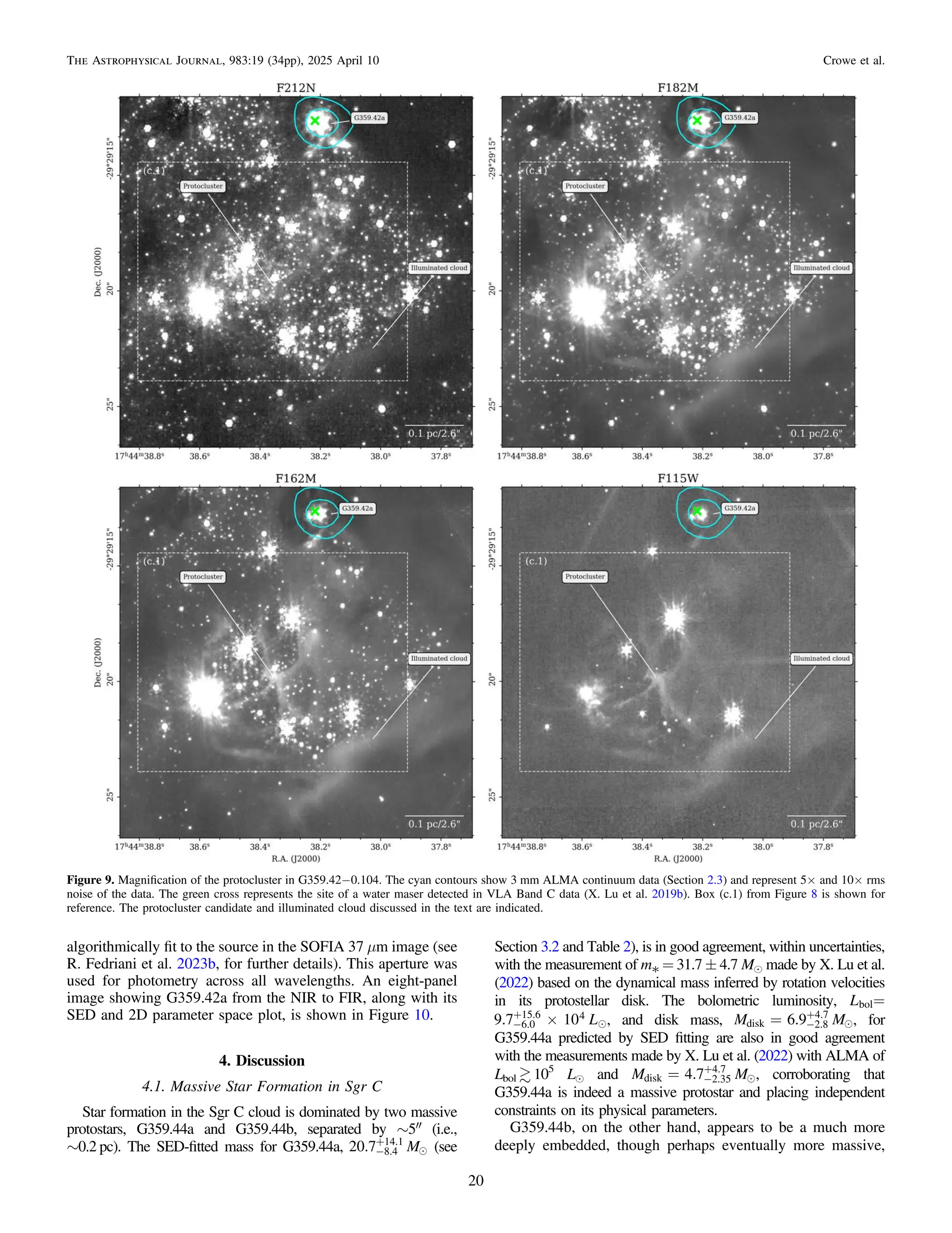 algorithmically ﬁt to the source in the SOFIA 37 μm image (see
R. Fedriani et al. 2023b, for further details). This aperture was
used for photometry across all wavelengths. An eight-panel
image showing G359.42a from the NIR to FIR, along with its
SED and 2D parameter space plot, is shown in Figure 10.
4. Discussion
4.1. Massive Star Formation in Sgr C
Star formation in the Sgr C cloud is dominated by two massive
protostars, G359.44a and G359.44b, separated by ∼5″ (i.e.,
∼0.2 pc). The SED-ﬁtted mass for G359.44a, -
+
M
20.7 8.4
14.1
 (see
Section 3.2 and Table 2), is in good agreement, within uncertainties,
with the measurement of m* = 31.7 ± 4.7 Me made by X. Lu et al.
(2022) based on the dynamical mass inferred by rotation velocities
in its protostellar disk. The bolometric luminosity, =
Lbol
´
-
+
L
9.7 10
6.0
15.6 4
, and disk mass, = -
+
M M
6.9
disk 2.8
4.7
, for
G359.44a predicted by SED ﬁtting are also in good agreement
with the measurements made by X. Lu et al. (2022) with ALMA of
Lbol  105
Le and = -
+
M M
4.7
disk 2.35
4.7
, corroborating that
G359.44a is indeed a massive protostar and placing independent
constraints on its physical parameters.
G359.44b, on the other hand, appears to be a much more
deeply embedded, though perhaps eventually more massive,
Figure 9. Magniﬁcation of the protocluster in G359.42−0.104. The cyan contours show 3 mm ALMA continuum data (Section 2.3) and represent 5× and 10× rms
noise of the data. The green cross represents the site of a water maser detected in VLA Band C data (X. Lu et al. 2019b). Box (c.1) from Figure 8 is shown for
reference. The protocluster candidate and illuminated cloud discussed in the text are indicated.
20
The Astrophysical Journal, 983:19 (34pp), 2025 April 10 Crowe et al.
 