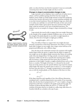 adult, is at about the lower size limit for mammals. It must eat continually,
                                        consuming many times its body weight each day to survive.
                                        Changes in shape to accommodate changes in size
                                             Large mammals, such as elephants, have a small ratio of surface area to
                                        volume, and have problems getting rid of their heat fast enough. An
                                        elephant cannot simply eat small enough amounts to keep from producing
                                        excessive heat, because cells need to have a certain minimum metabolic rate
                                        to run their internal machinery. Hence the elephant’s large ears, which add
                                        to its surface area and help it to cool itself. Previously, we have seen several
                                        examples of data within a given species that were consistent with a fixed
                                        shape, scaled up and down in the cases of individual specimens. The
                                        elephant’s ears are an example of a change in shape necessitated by a change
                                        in scale.
                                            Large animals also must be able to support their own weight. Returning
                                        to the example of the strengths of planks of different sizes, we can see that if
                                        the strength of the plank depends on area while its weight depends on
                                        volume, then the ratio of strength to weight goes as follows:
                                                    strength/weight ∝ A/V ∝ 1/L .
Galileo’s original drawing, showing         Thus, the ability of objects to support their own weights decreases
how larger animals’ bones must be       inversely in proportion to their linear dimensions. If an object is to be just
greater in diameter compared to their   barely able to support its own weight, then a larger version will have to be
lengths.
                                        proportioned differently, with a different shape.
                                            Since the data on the cockroaches seemed to be consistent with roughly
                                        similar shapes within the species, it appears that the ability to support its
                                        own weight was not the tightest design constraint that Nature was working
                                        under when she designed them. For large animals, structural strength is
                                        important. Galileo was the first to quantify this reasoning and to explain
                                        why, for instance, a large animal must have bones that are thicker in
                                        proportion to their length. Consider a roughly cylindrical bone such as a leg
                                        bone or a vertebra. The length of the bone, L, is dictated by the overall
                                        linear size of the animal, since the animal’s skeleton must reach the animal’s
                                        whole length. We expect the animal’s mass to scale as L3, so the strength of
                                        the bone must also scale as L3. Strength is proportional to cross-sectional
                                        area, as with the wooden planks, so if the diameter of the bone is d, then
                                                      d2∝ L3
                                        or
                                                      d ∝ L 3/2 .
                                        If the shape stayed the same regardless of size, then all linear dimensions,
                                        including d and L, would be proportional to one another. If our reasoning
                                        holds, then the fact that d is proportional to L3/2, not L, implies a change in
                                        proportions of the bone. As shown in the graph on the previous page, the
                                        vertebrae of African Bovidae follow the rule d ∝ L3/2 fairly well. The
                                        vertebrae of the giant eland are as chunky as a coffee mug, while those of a
                                        Gunther’s dik-dik are as slender as the cap of a pen.




46               Chapter 1 Scaling and Order-of-Magnitude Estimates
 