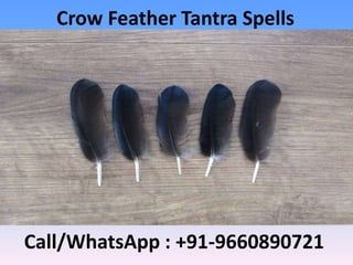 Crow Feather Tantra Spells
Call/WhatsApp : +91-9660890721
 