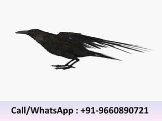 Call/WhatsApp : +91-9660890721
 