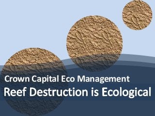 Crown Capital Eco Management
 