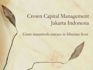 Crown Capital Management
          Jakarta Indonesia
Giant mammoth carcass in Siberian frost
 