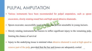 Various instruments have been recommended for pulpal amputation, such as spoon
excavators, slowly rotating round burs and high-speed abrasive diamonds.
 Spoon excavator, successfully used in molars, has proven unsuitable in young incisors.
 Slowly rotating instruments are known to inflict significant injury to the remaining pulp,
limiting the chance of survival
 Injury to the underlying tissue is minimal when abrasive diamond is used at high speed to
remove part of the pulp, provided that the bur and tissues are adequately cooled
PULPAL AMPUTATION
DR.TINET MARY AUGUSTINE.BDS.MDS 102
 