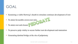  Sustaining a viable Hertwig’s sheath to stimulate continues development of root
 To attain favourable crown:root ratio
 To attain root end closure
 To preserve pulp vitality to secure further root development and maturation
 Generating dentinal bridge at the site of pulpotomy
GOAL
DR.TINET MARY AUGUSTINE.BDS.MDS 115
 