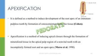 • It is defined as a method to induce development of the root apex of an immature
pulpless tooth by formation of osteocementum/bone like tissue (Cohen).
 Apexification is a method of inducing apical closure through the formation of
mineralized tissue in the apical pulp region of a nonvital tooth with an
incompletely formed root and an open apex (Morse et al. 1990).
APEXIFICATION
DR.TINET MARY AUGUSTINE.BDS.MDS 145
 