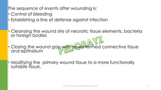 The sequence of events after wounding is:
 Control of bleeding
 Establishing a line of defense against infection
 Cleansing the wound site of necrotic tissue elements, bacteria
or foreign bodies
 Closing the wound gap with newly formed connective tissue
and epithelium
 Modifying the primary wound tissue to a more functionally
suitable tissue.
DR.TINET MARY AUGUSTINE.BDS.MDS 16
 