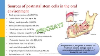 • Tooth germ progenitor cells (TGPCS);
• Dental follicle stem cells (DFSCS);
• Salivary gland stem cells - SGSCS);
• Stem cells of the apical papilla (SCAP);
• Dental pulp stem cells (DPSCS);
• Inflamed periapical progenitor cells (IPAPCS);
• Stem cells from human exfoliated deciduous teeth(shed);
• Periodontal ligament stem cells (PDLSCS),
• Bone marrow stem cells (BMSCS)
• oral epithelial stem cells (OESCS);
• Gingival-derived mesenchymal stem cells (GMSCS);
• Periosteal stem cells (PSCS).
Sources of postnatal stem cells in the oral
environment
Hargreaves KM, Diogenes A, Teixeira FB:
Treatment options: biologic basis of
regenerative endodontic procedures, J
Endod 39:s30, 2013DR.TINET MARY AUGUSTINE.BDS.MDS 177
 