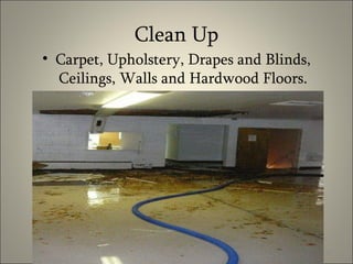 Clean Up Carpet, Upholstery, Drapes and Blinds, Ceilings, Walls and Hardwood Floors. 