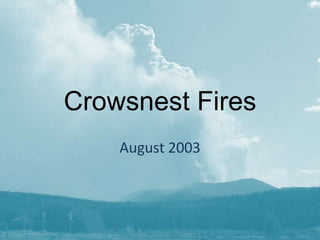 Crowsnest Fires August 2003 