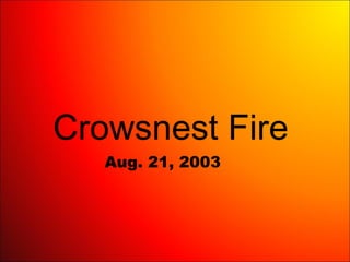 Crowsnest Fire Aug. 21, 2003 