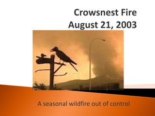 Crowsnest FireAugust 21, 2003 Photo by CBC News http://www.cbc.ca/gfx/photos/crowsnest_pass030804.jpg A seasonal wildfire out of control 