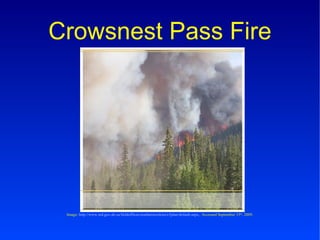 Crowsnest Pass Fire Image:  http://www.srd.gov.ab.ca/fieldoffices/southernrockies/c5plan/default.aspx, . Accessed September 15 th , 2009. 