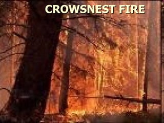 CROWSNEST FIRE 