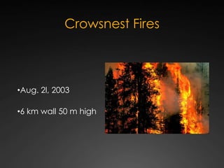 Crowsnest Fires ,[object Object]