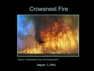 Crowsnest Fire August  2, 2003,  Figure 1. Northwest Crown Fire Experiment 1 