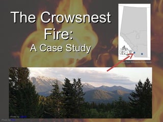The Crowsnest Fire:  A Case Study Photo by  tipkodi Photo by  FLC   Image from Wikipedia Commons 