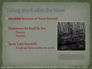 20,000 hectares of forest burnedBusinesses hit hard by fireForestryTourismSpray Lake Sawmills To salvage burnt lumber for profitTaking stock after the blazehttp://photos.mlive.com/grandrapidspress/2009/04/solon_township_forest_fire_1.html