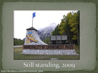 Food for grazing wildlife