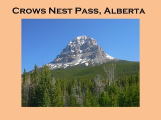 Crows Nest Pass, Alberta
 