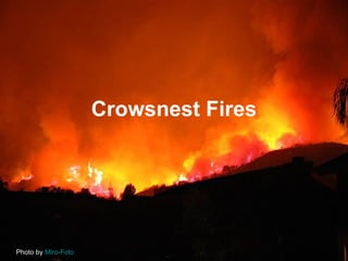 Crowsnest Fires Photo by  Miro-Foto 