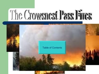 The Crowsnest Pass Fires Table of Contents 