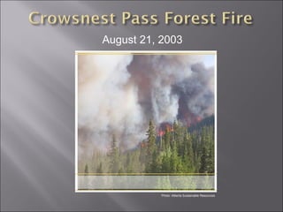 August 21, 2003 Photo: Alberta Sustainable Resources 
