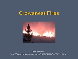 Picture from: http://www.cbc.ca/canada/story/2003/07/31/fire030731.html 